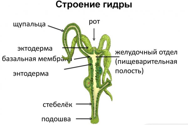 Что такое кракен площадка