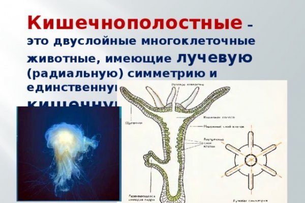 Ссылка на кракен официальный сайт